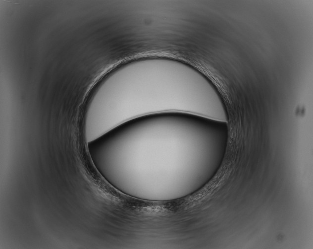 X0000100930112200806241148