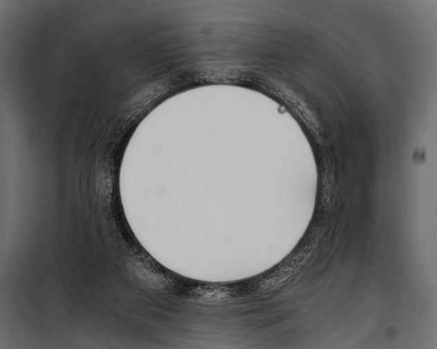 X0000100930113200806241148