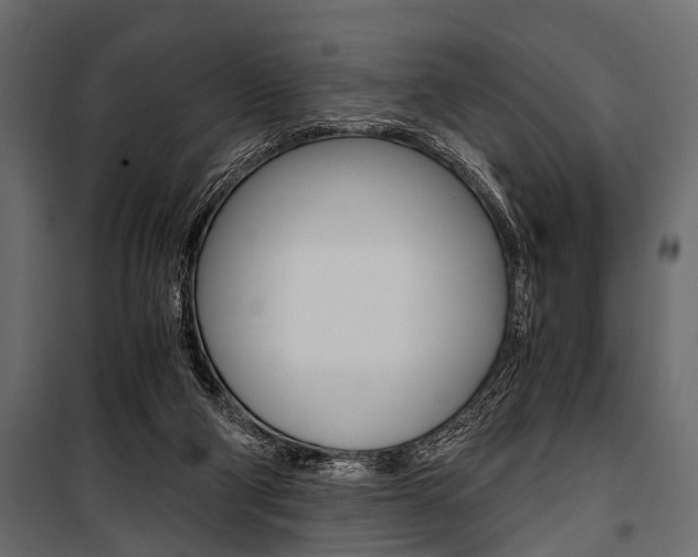 X0000100930114200806241148