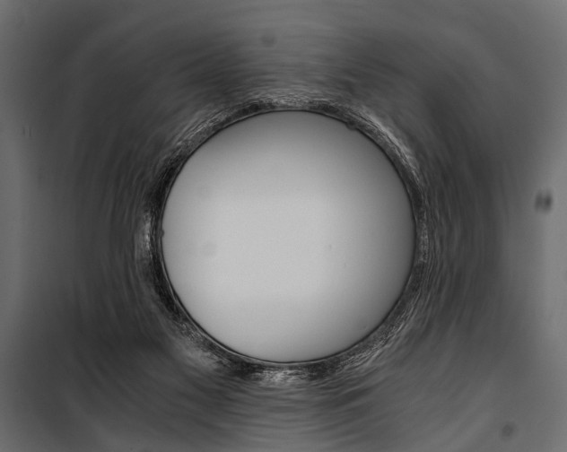 X0000100930117200806241148