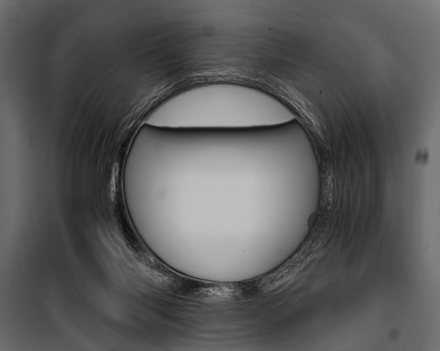 X0000100930118200806241148