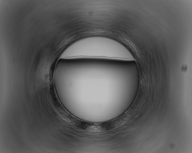 X0000100930119200806241148