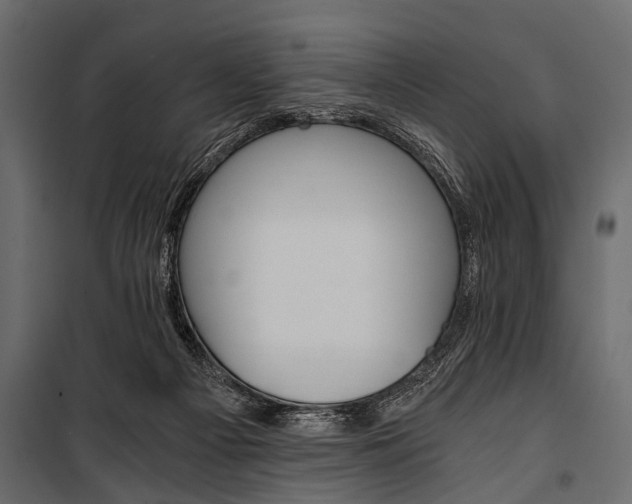 X0000100930121200806241148