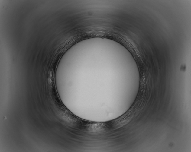 X0000100930122200806241148