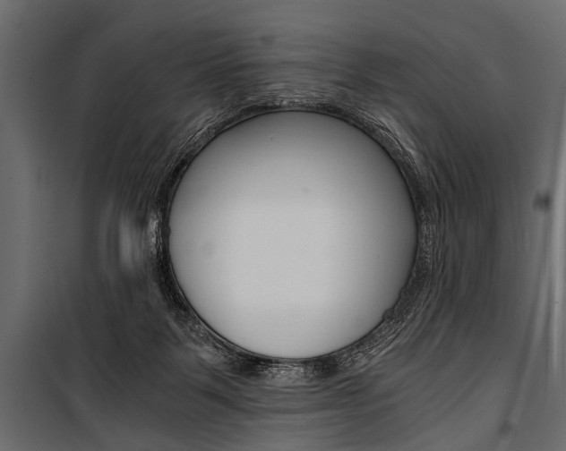 X0000100930123200806241148