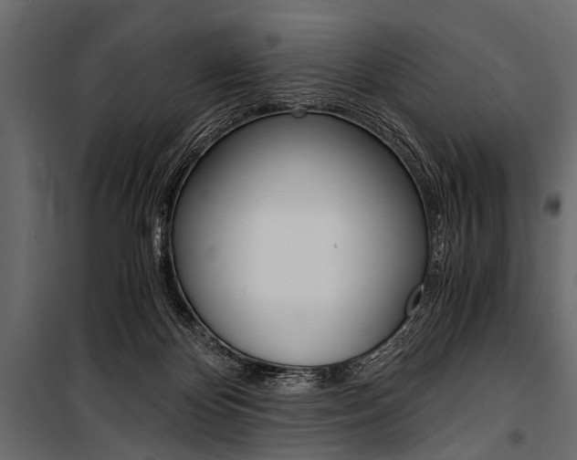 X0000100930124200806241148