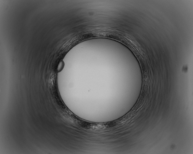 X0000100930125200806241148