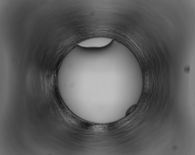 X0000100930126200806241148