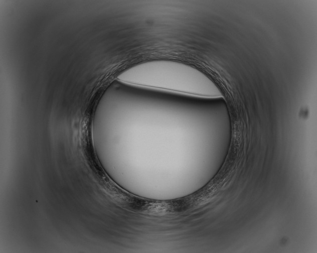 X0000100930127200806241148