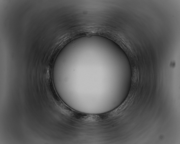 X0000100930128200806241148