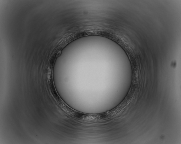 X0000100930129200806241148