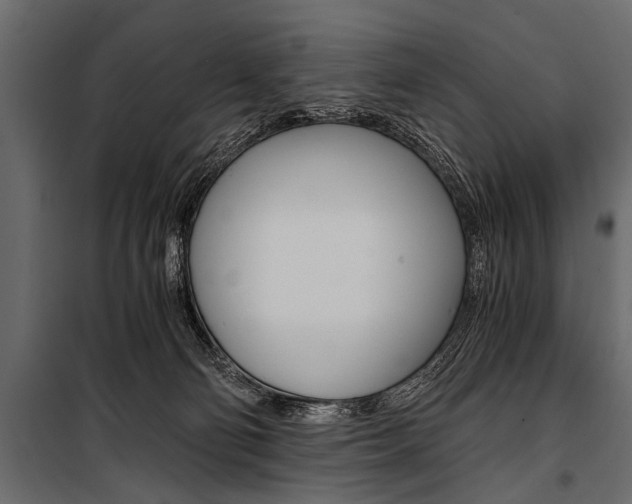 X0000100930130200806241148