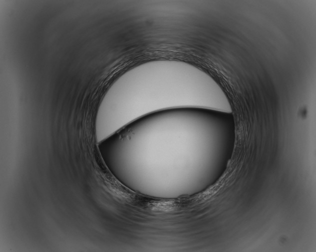 X0000100930132200806241147