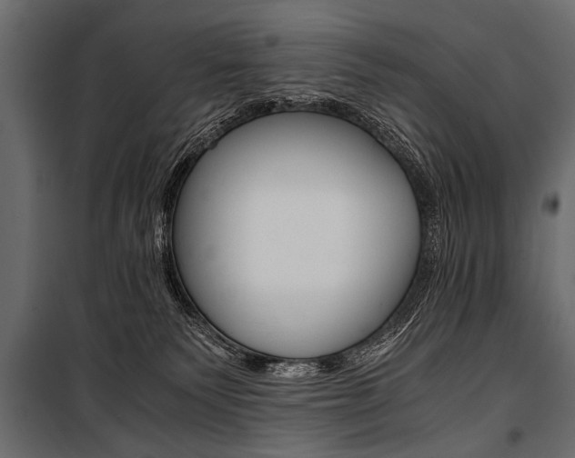 X0000100930135200806241147