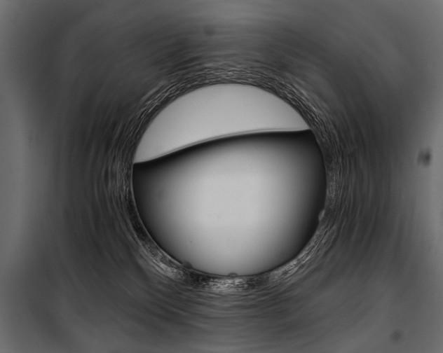 X0000100930136200806241147