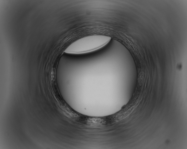 X0000100930137200806241147