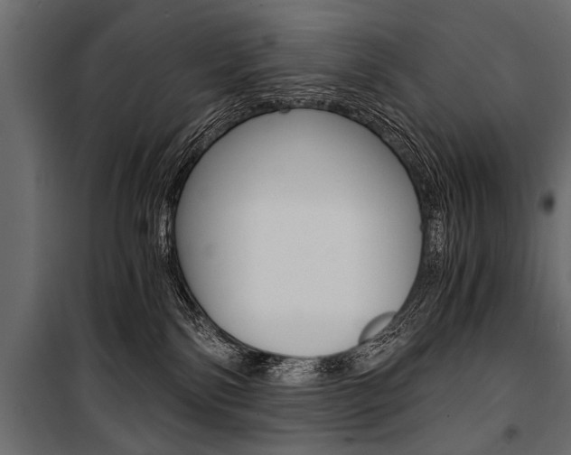 X0000100930138200806241147