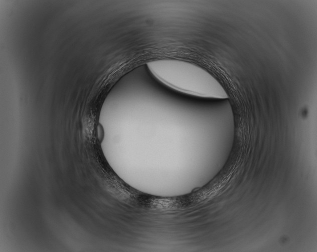 X0000100930139200806241147