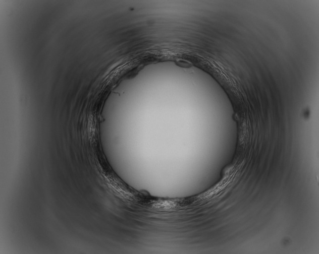 X0000100930140200806241147