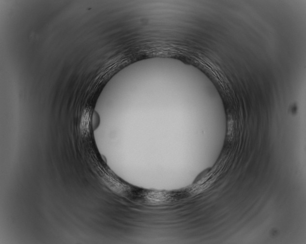 X0000100930142200806241147