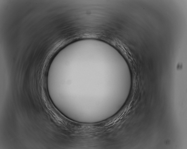 X0000100930145200806241147