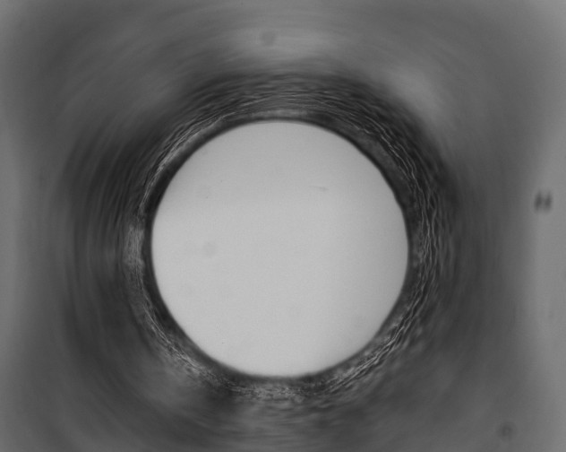 X0000100930146200806241147