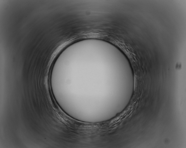 X0000100930147200806241147