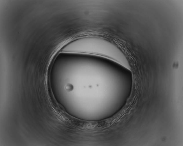 X0000100930148200806241147