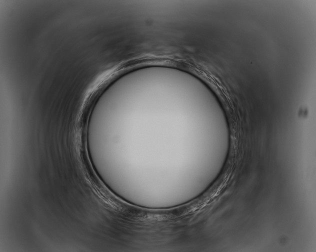 X0000100930149200806241147