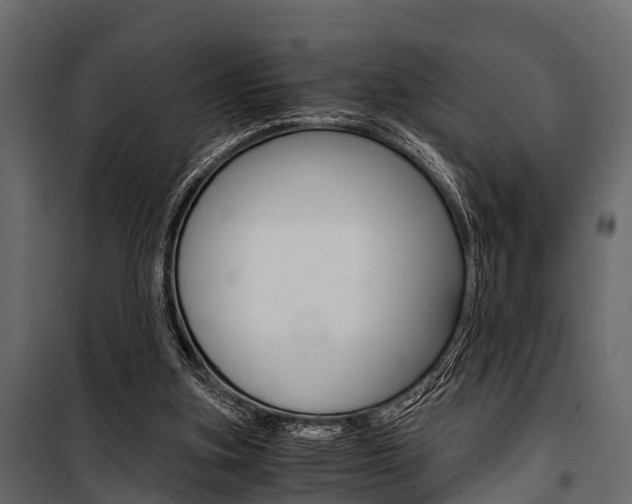 X0000100930155200806241147