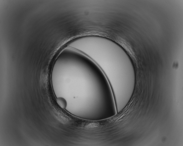 X0000100930156200806241147