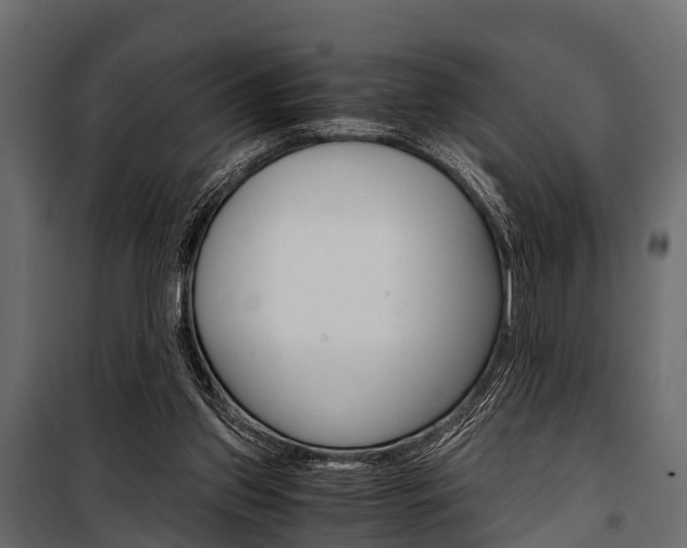 X0000100930157200806241147