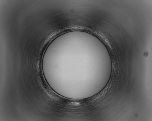 X0000100930159200806241147