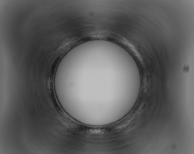 X0000100930161200806241147