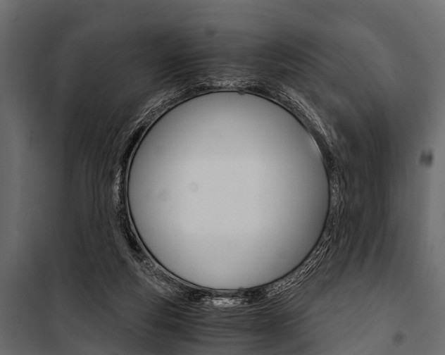 X0000100930163200806241147