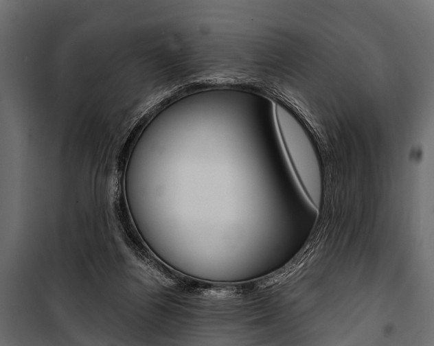 X0000100930164200806241147