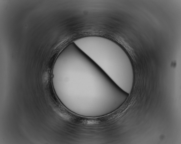 X0000100930165200806241147