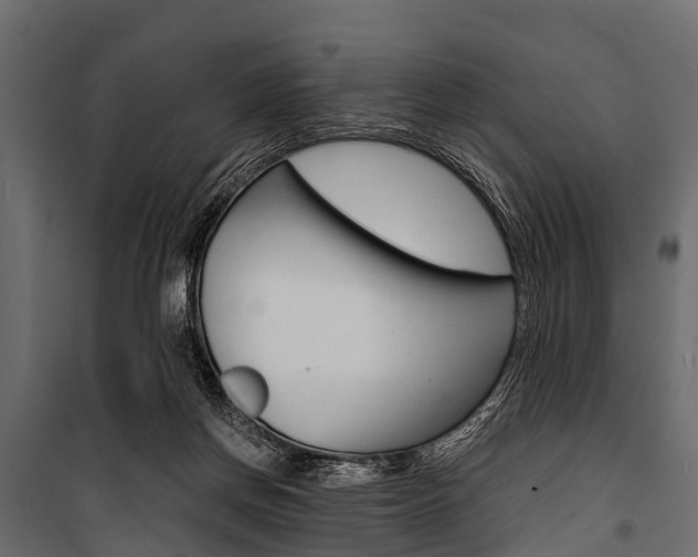 X0000100930166200806241147