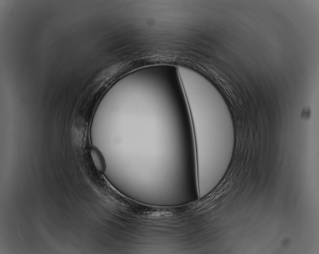 X0000100930168200806241147