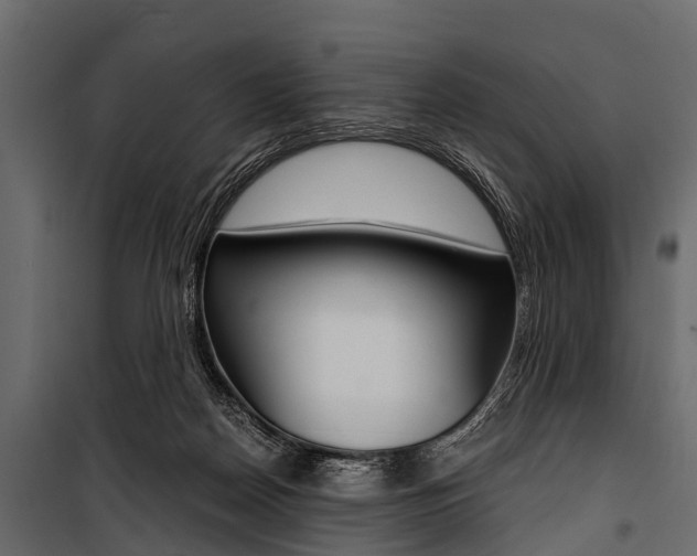 X0000100930170200806241147