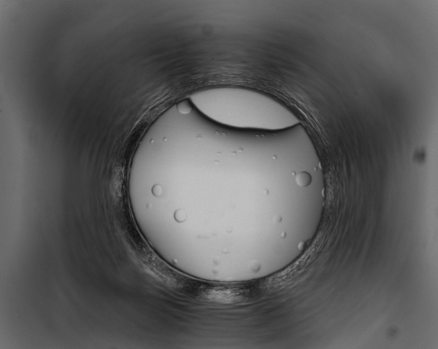 X0000100930171200806241147