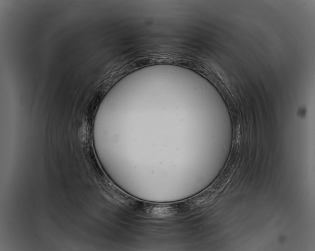 X0000100930173200806241147