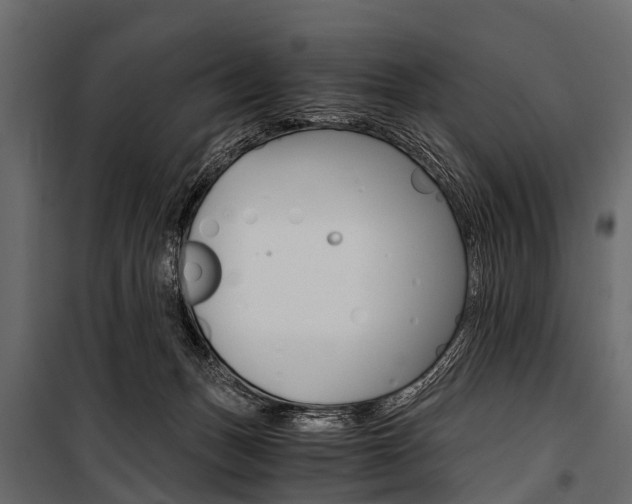 X0000100930175200806241147