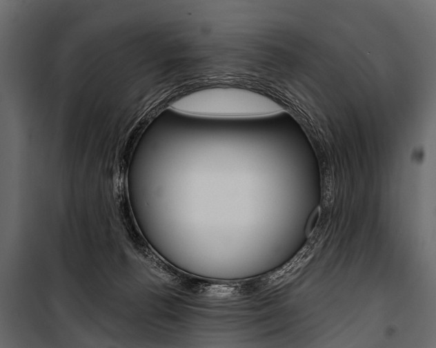 X0000100930176200806241147