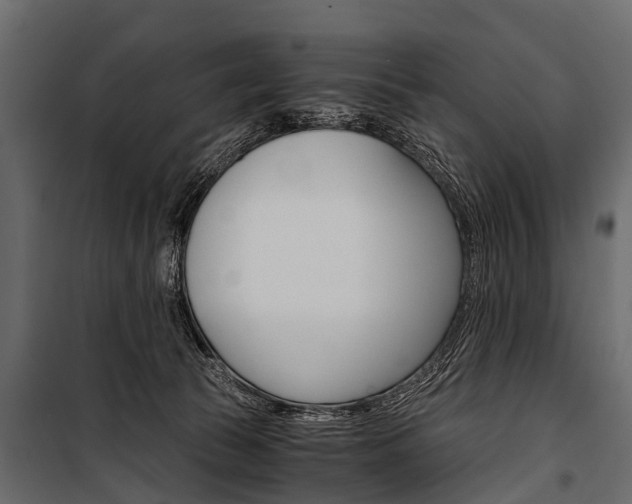 X0000100930177200806241147