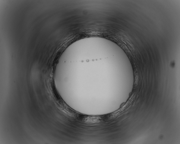 X0000100930179200806241147