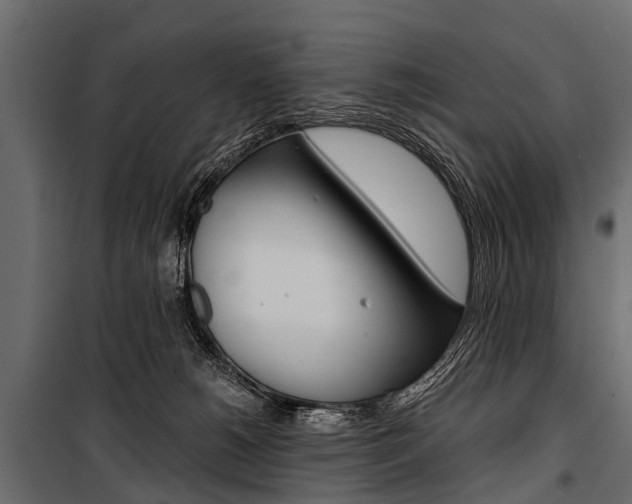 X0000100930180200806241147