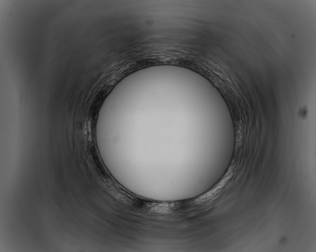 X0000100930182200806241147