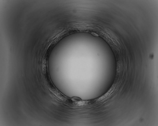 X0000100930184200806241147