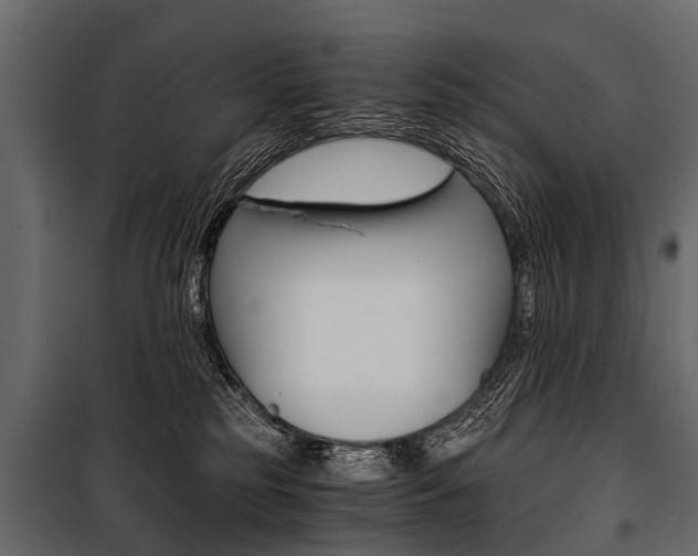 X0000100930185200806241147